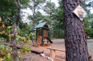 Cabin backyard with kids playground