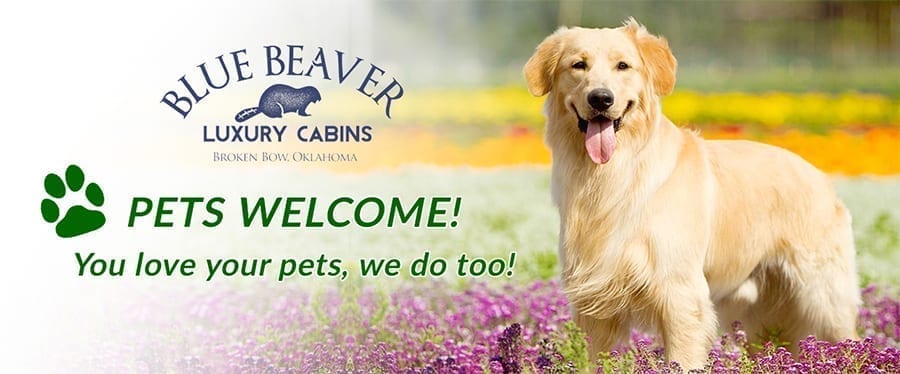 pet friendly cabins in Oklahoma