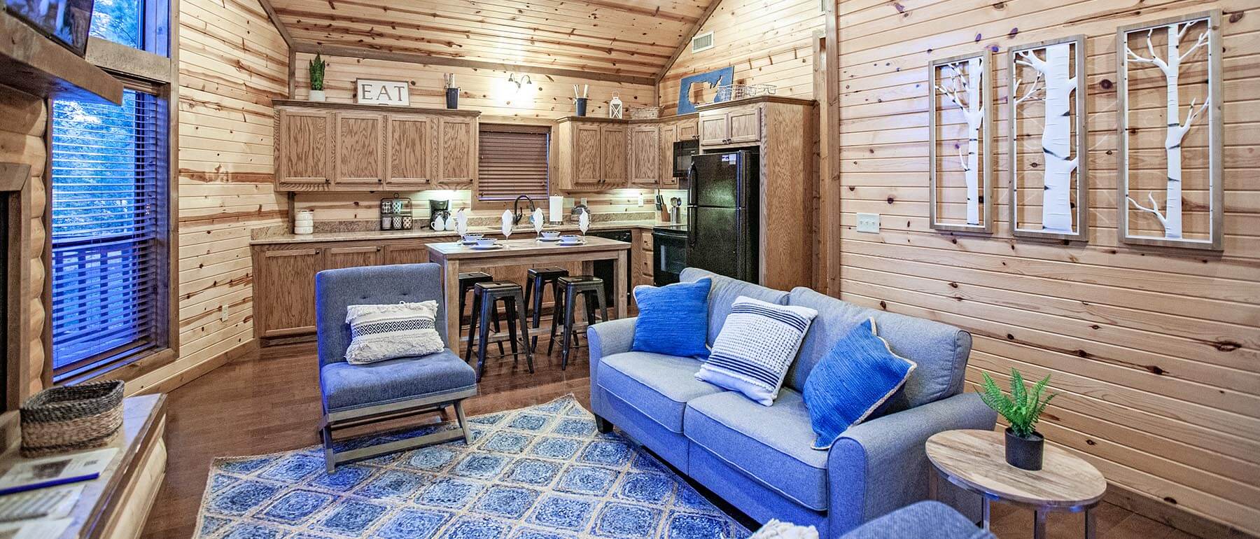Cabin living room and kitchen.