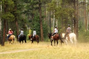 Photo of a Group Horseback Riding in Broken Bow's Backcountry.