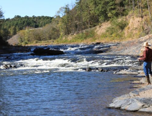 Beavers Bend State Park Has Fun Activities for Everyone