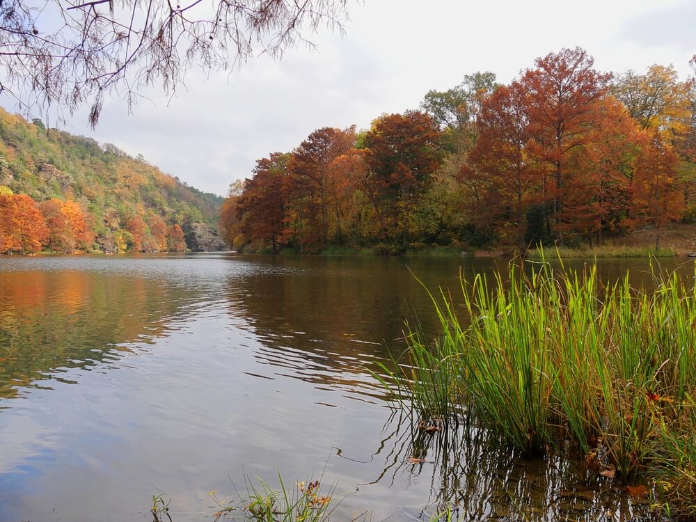 Beautiful fall foliage on the shores of Broken Bow Lake